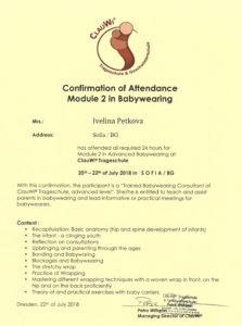 ClauWI / Confirmation of Attendance Module 2 in Babywearing
